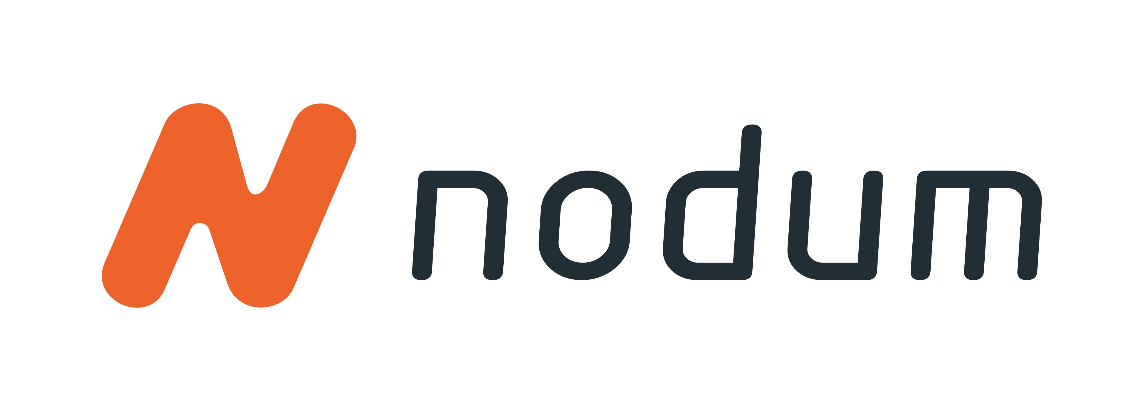 NODUM Software